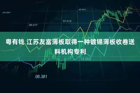 粤有钱 江苏友富薄板取得一种镀锡薄板收卷送料机构专利