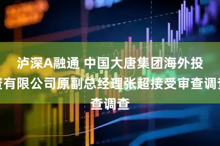 泸深A融通 中国大唐集团海外投资有限公司原副总经理张超接受审查调查