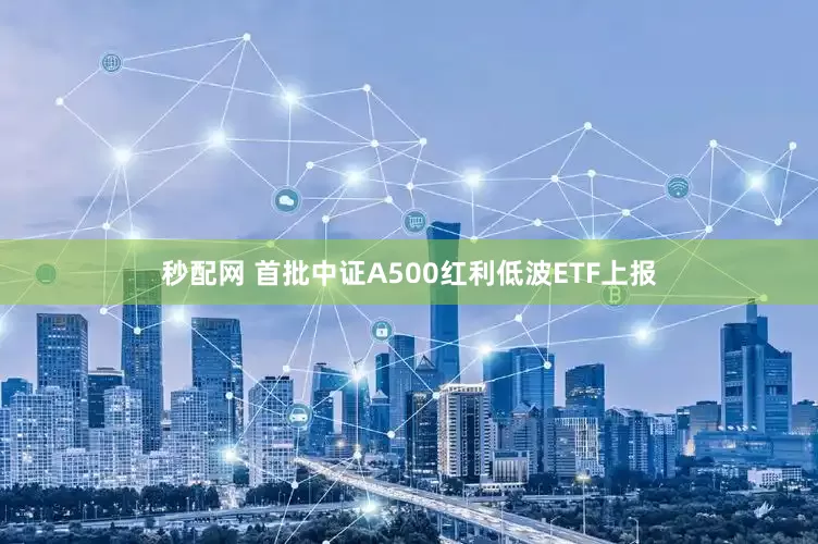 秒配网 首批中证A500红利低波ETF上报